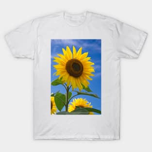 Sunflower T-Shirt